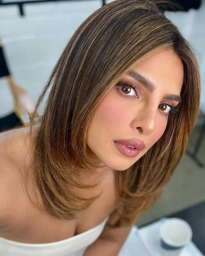 Priyanka Chopra con sopracciglia folte